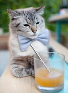 浓眉狂轰快船封锁线！湖人冲垮洛城内战壁垒